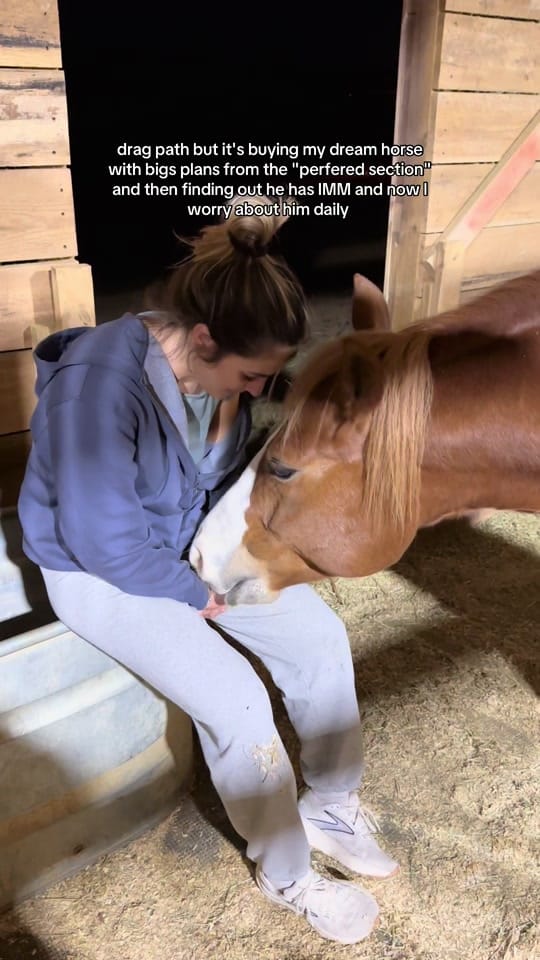 Post 4 by bcbingham on TikTok (video)
