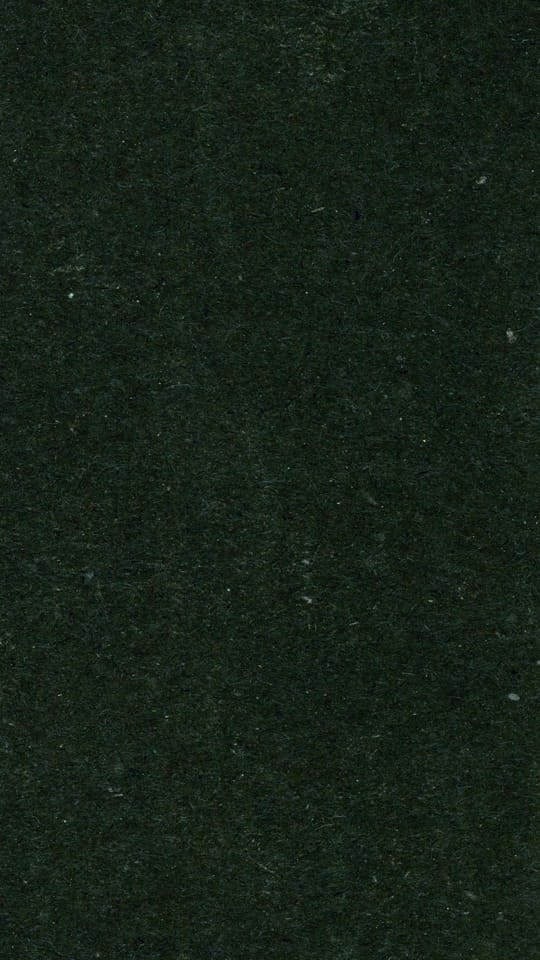 Post 6 by Cineteca Nacional on TikTok (video)