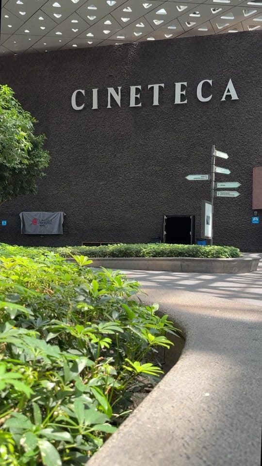 Post 8 by Cineteca Nacional on TikTok (video)