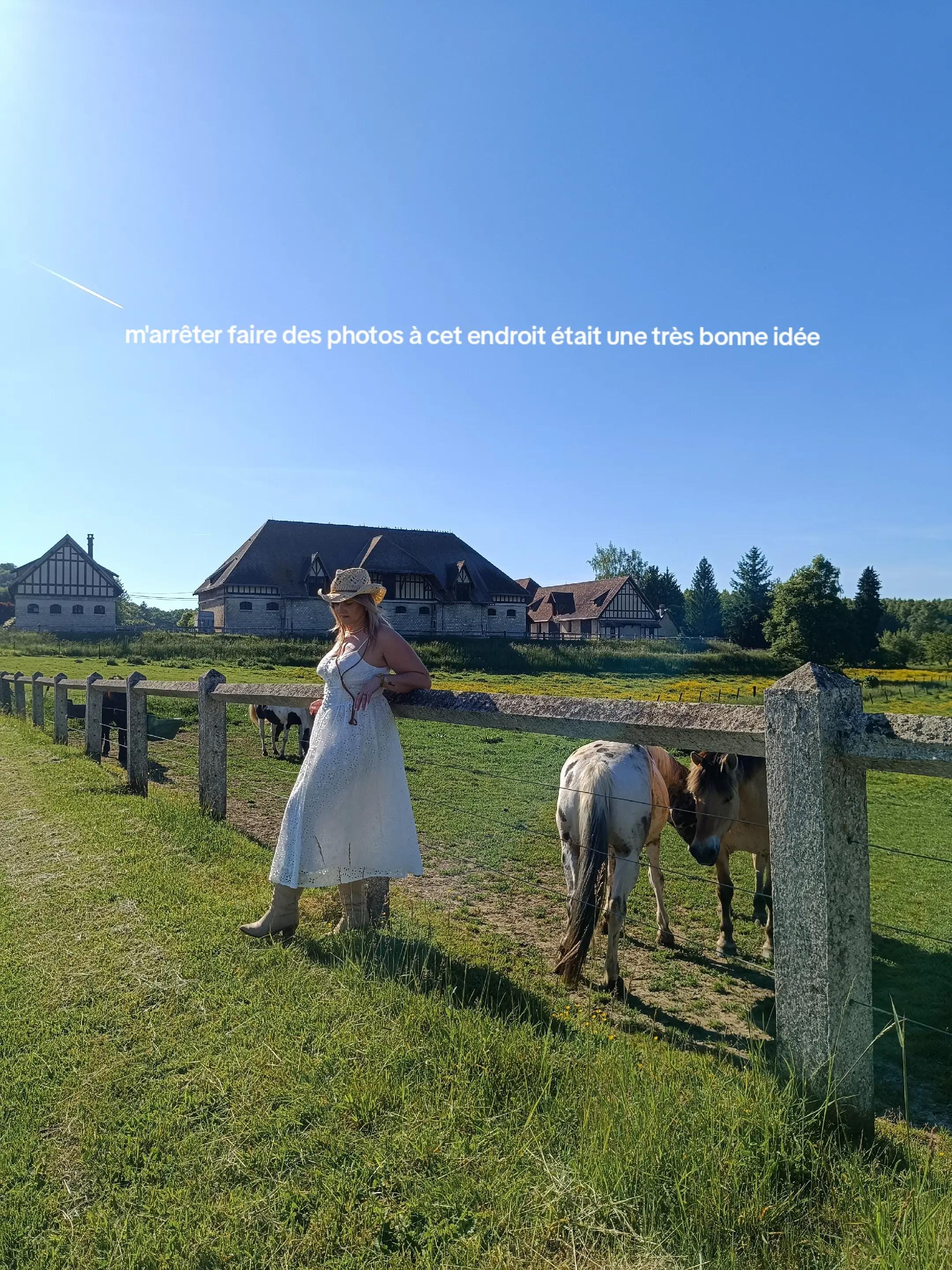 Post 5 by Cindy Orlak on TikTok (video)