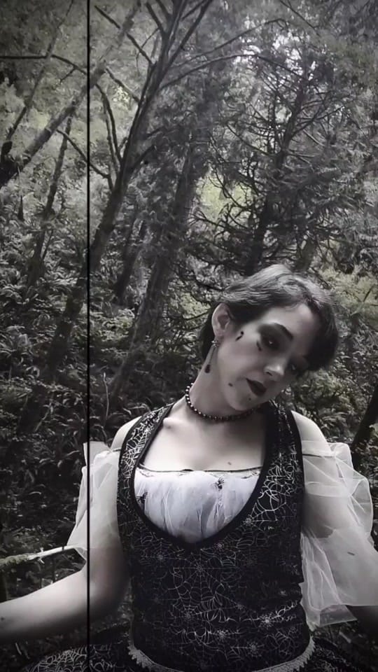 Post 5 by Christi Percell on TikTok (video)