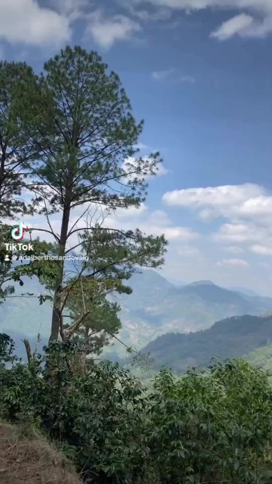 Post 2 by Adalberth0_sandoval on TikTok (video)