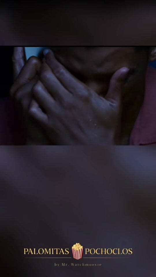 Post 5 by PALOMITAS Y POCHOCLOS on TikTok (video)