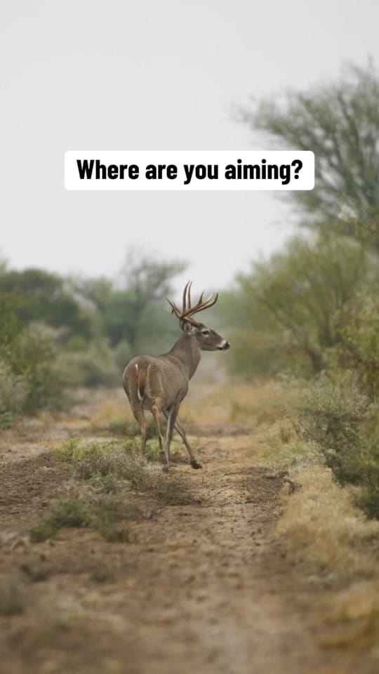 Post 6 by Las Cuevas Ranch on TikTok (video)