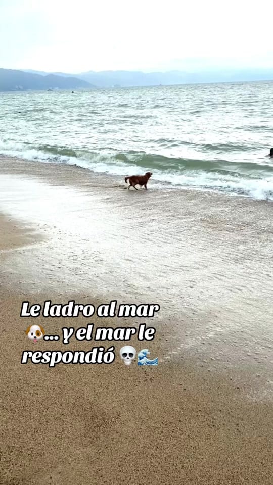 Post 9 by JavierVae on TikTok (video)
