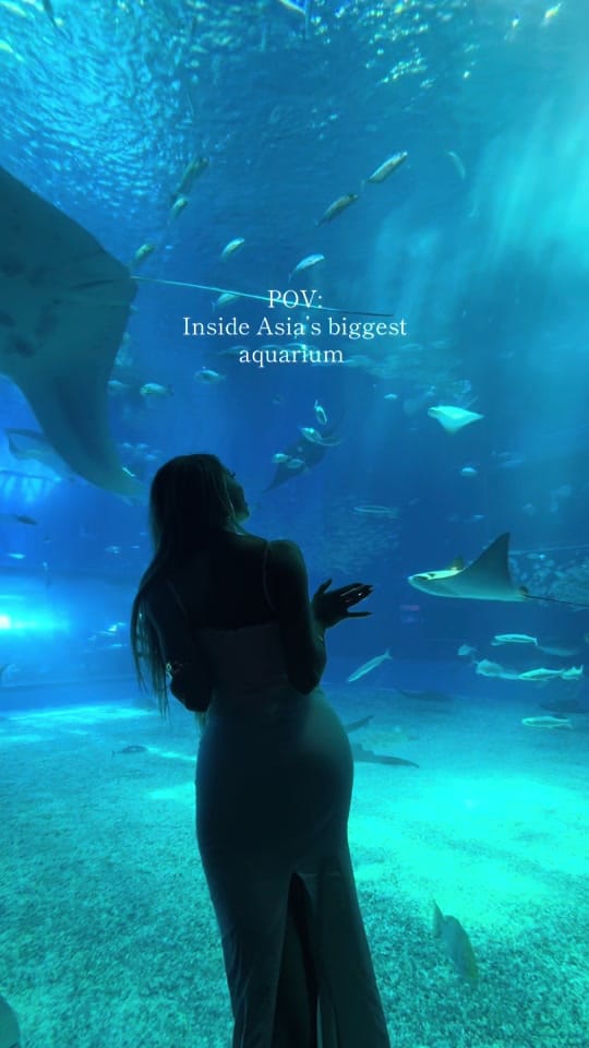 Post 4 by Alexandria V France on TikTok (video)