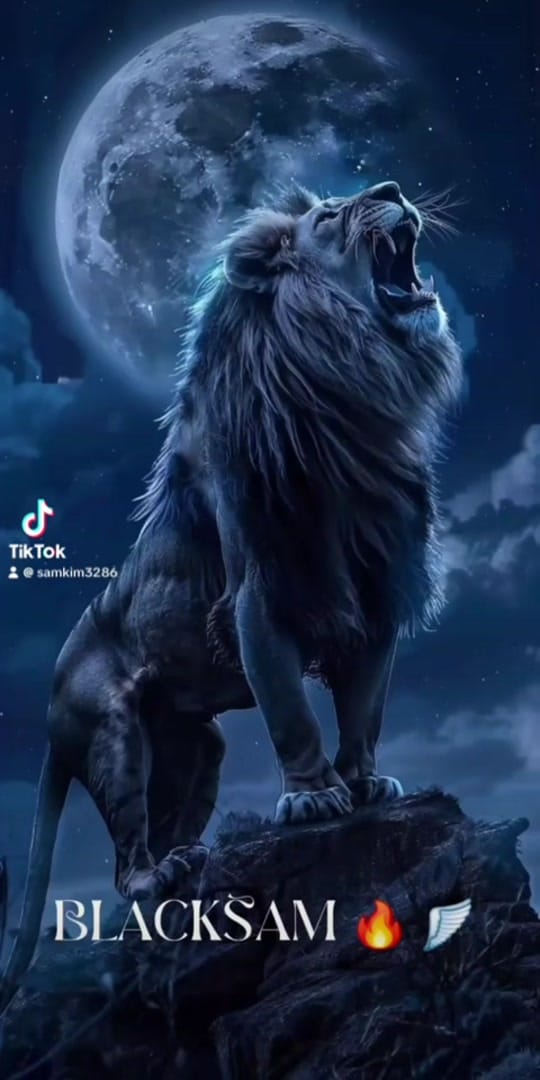 Post 3 by Sam Kim🔥🪽 on TikTok (video)