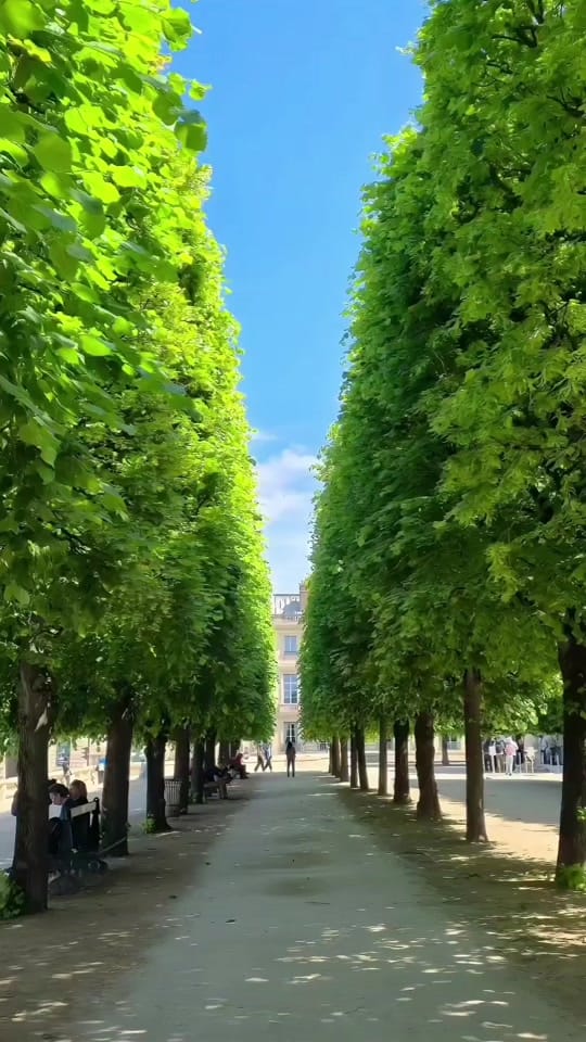 Post 4 by parisenlive on TikTok (video)
