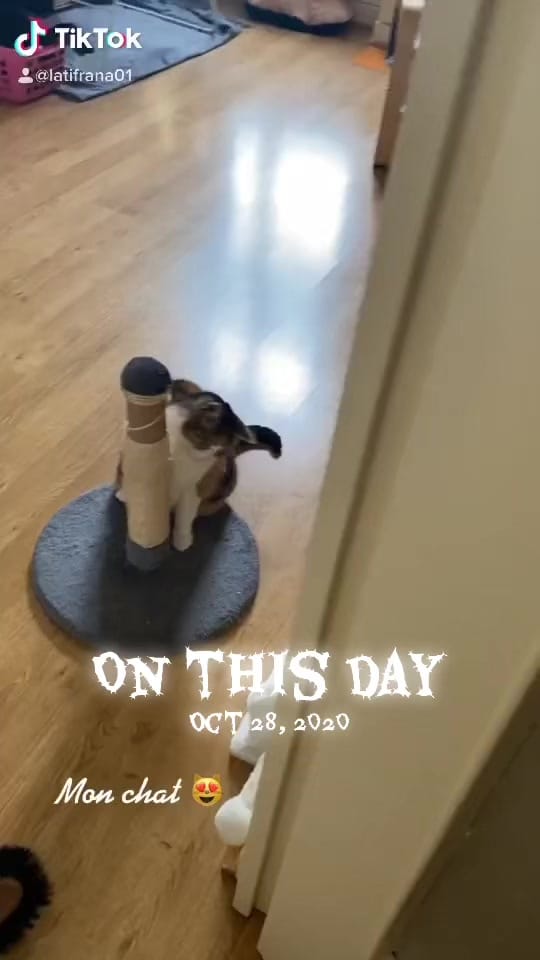 Post 4 by Rana LATIF 🇵🇰🇫🇷 on TikTok (video)