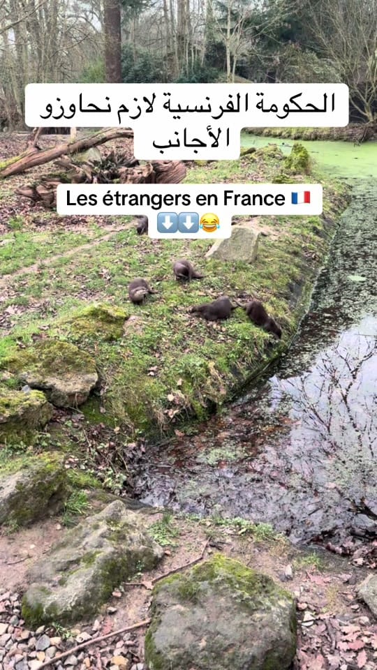 Post 1 by Bylka.lzl on TikTok (video)