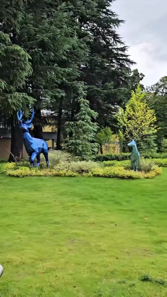 Post 9 by Aura_Hdz on TikTok (video)