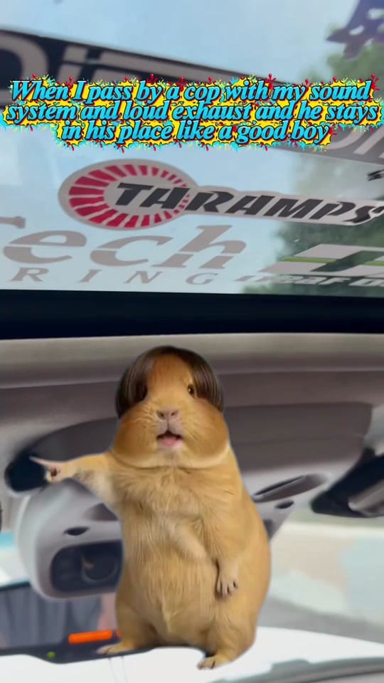 Post 6 by Ek mentado on TikTok (video)