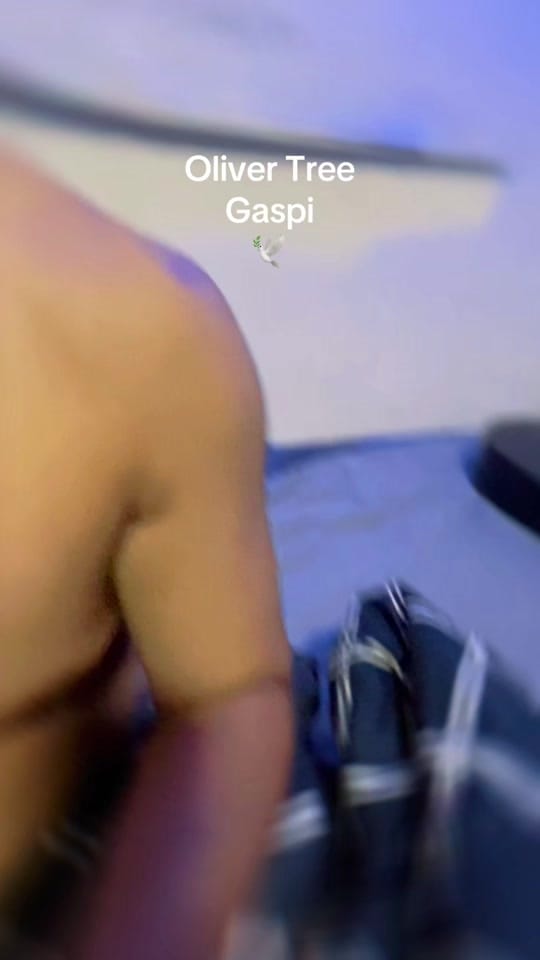 Post 2 by Armin Darza on TikTok (video)