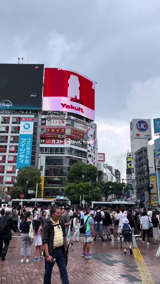 Post 6 by emma ꨄ︎ on TikTok (video)