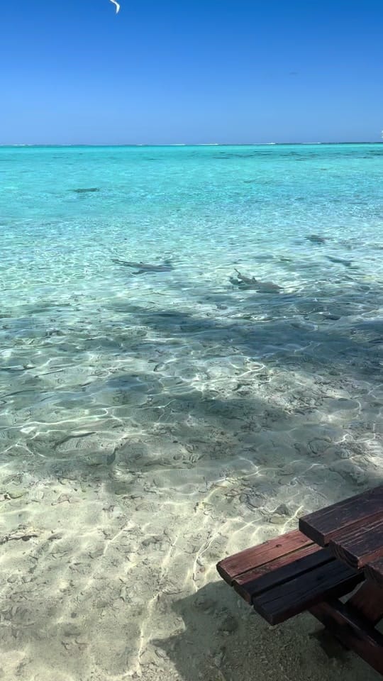 Post 5 by keonilifestyle on TikTok (video)