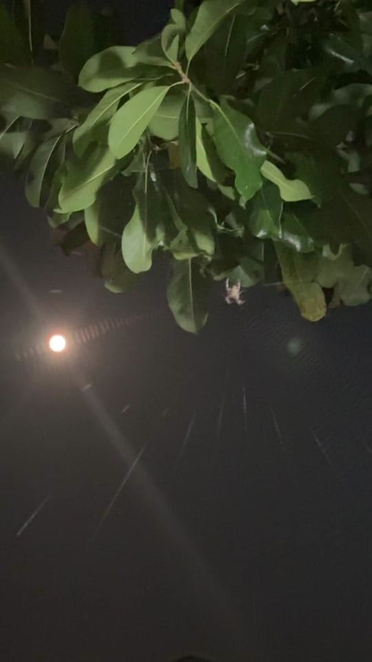 Post 3 by Angel Guerrero on TikTok (video)