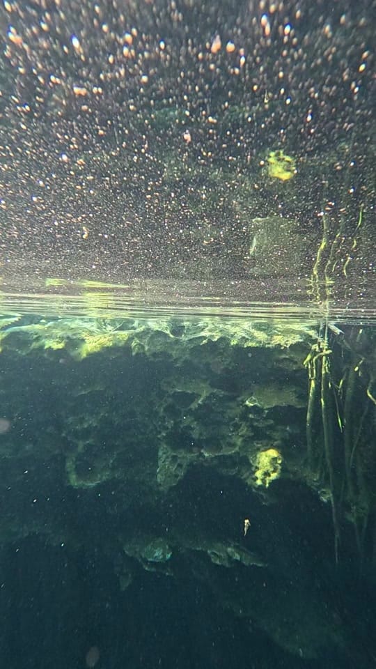 Post 8 by Fanno | Underwater videos on TikTok (video)