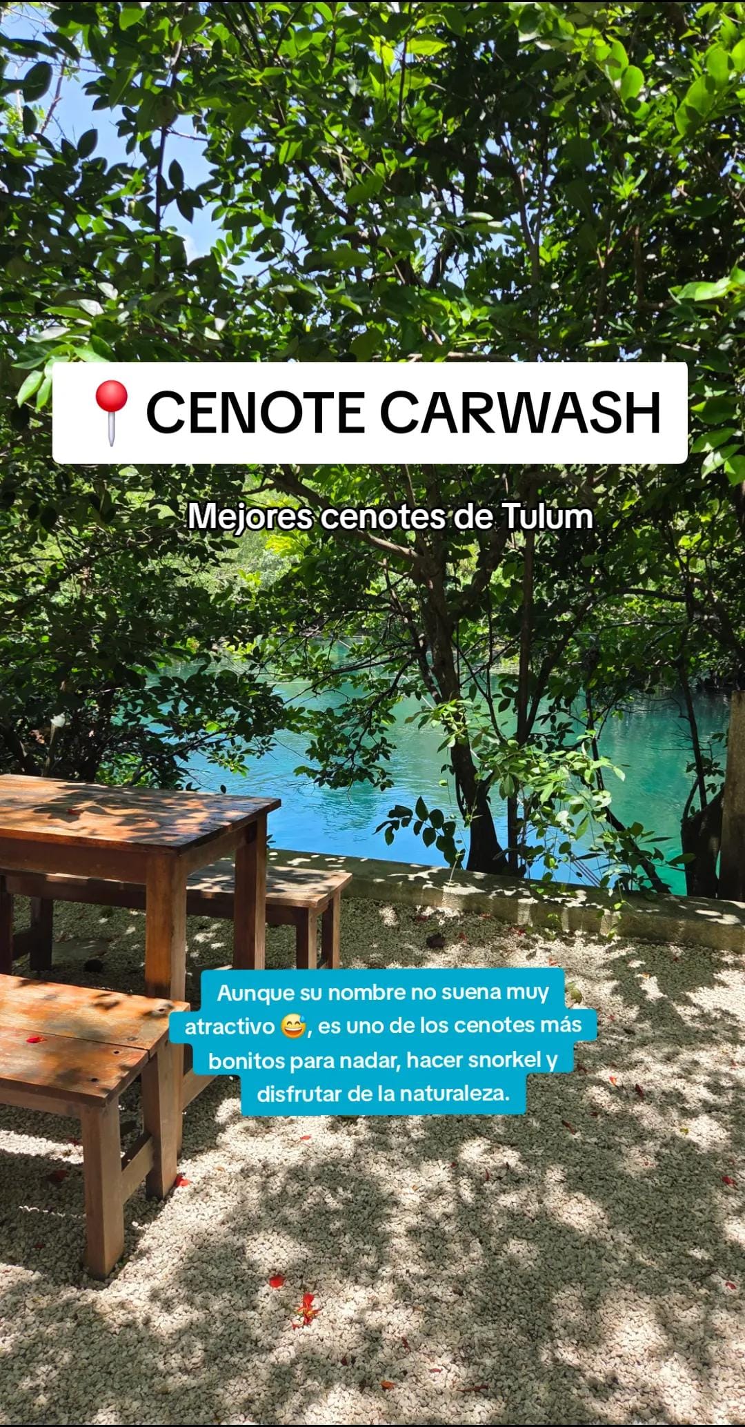 Post 4 by Fanno | Underwater videos on TikTok (video)