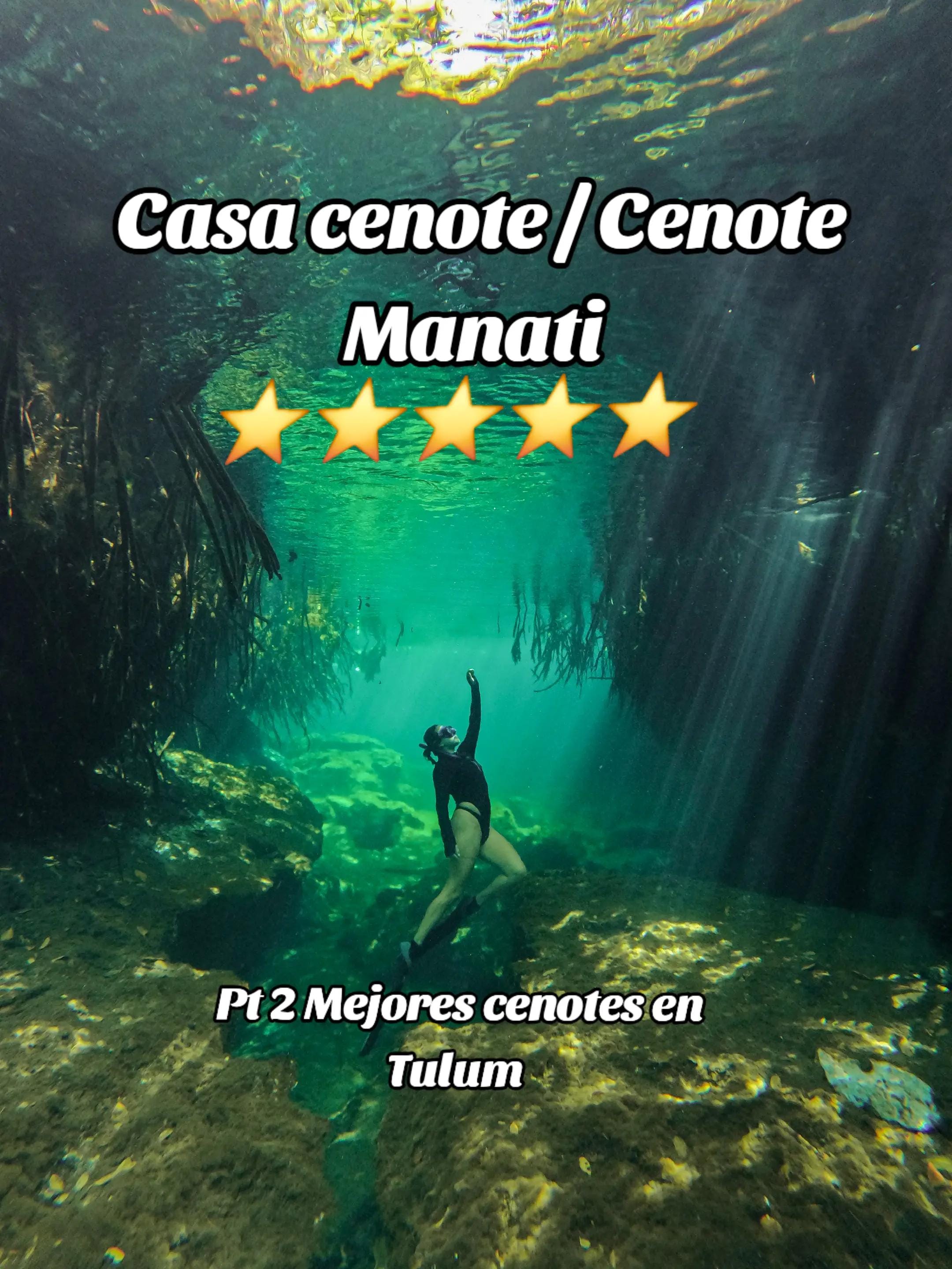 Post 9 by Fanno | Underwater videos on TikTok (video)