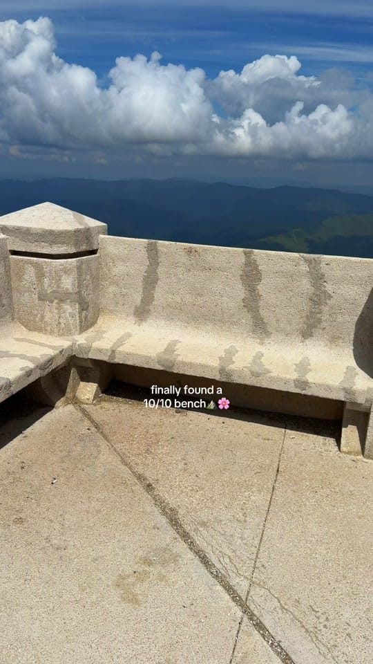 Post 1 by Delia Aldea on TikTok (video)