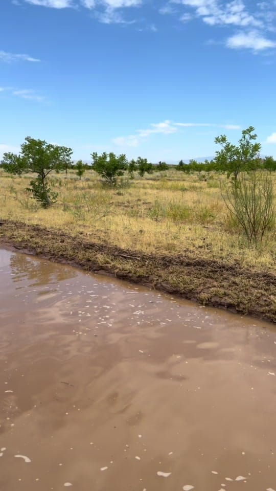 Post 1 by Beto Charras on TikTok (video)