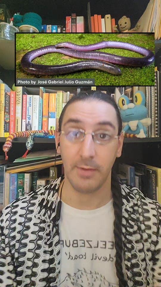 Post 9 by David Moscato on TikTok (video)