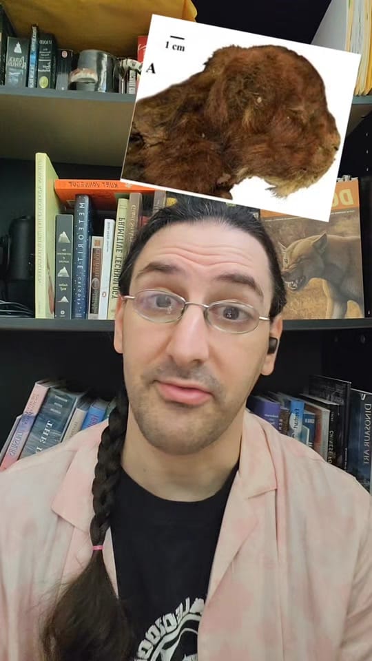 Post 1 by David Moscato on TikTok (video)