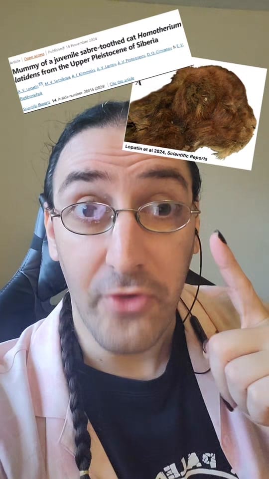 Post 7 by David Moscato on TikTok (video)