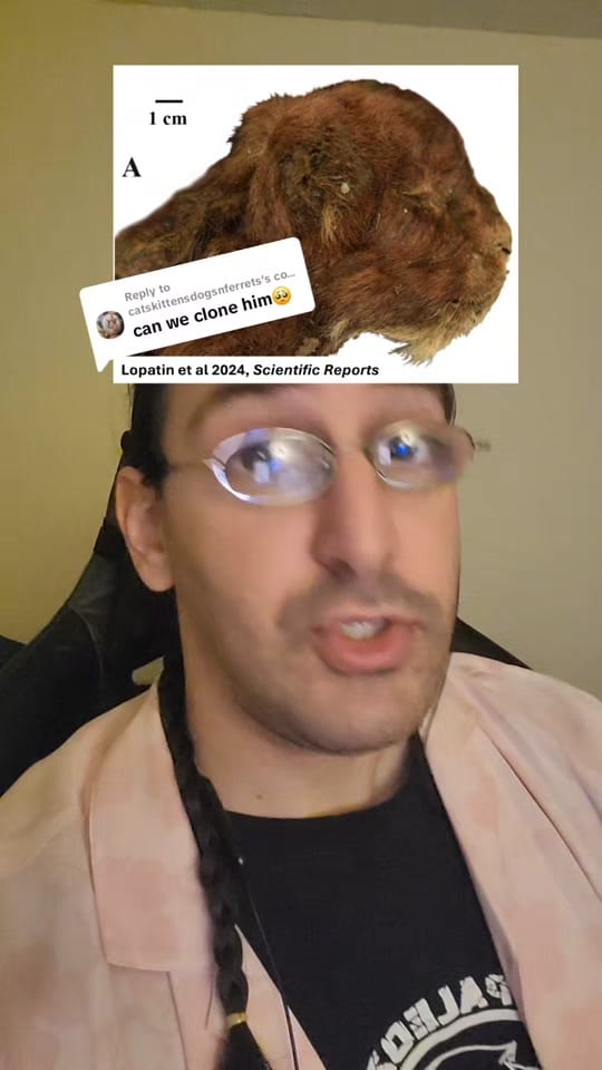 Post 6 by David Moscato on TikTok (video)