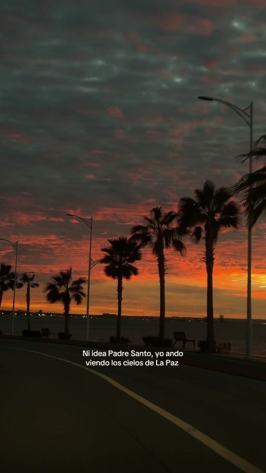 Post 5 by Flor Ac. on TikTok (video)