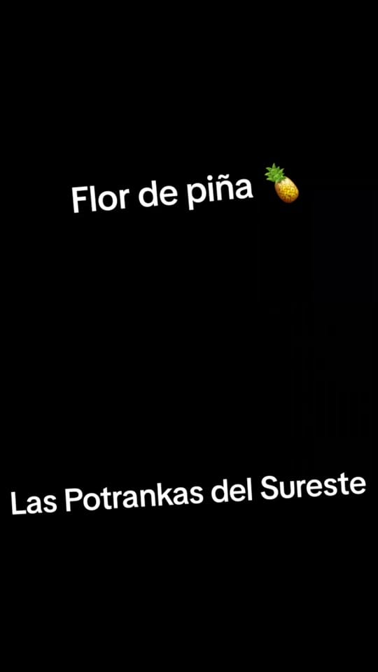 Post 9 by EnfiestadosConLaBandaQRO on TikTok (video)