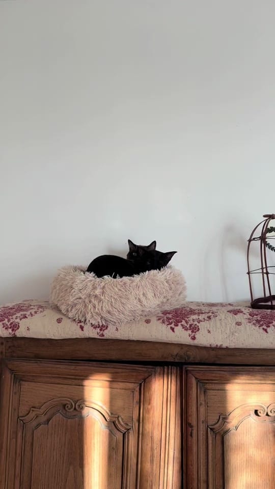 Post 4 by TheCélinette on TikTok (video)