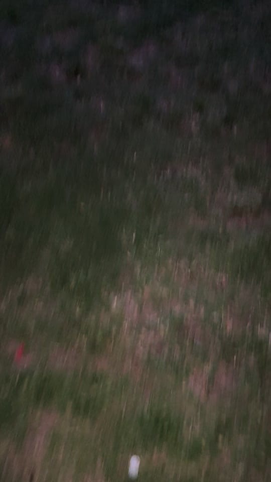 Post 8 by Leonardo Saavedra on TikTok (video)