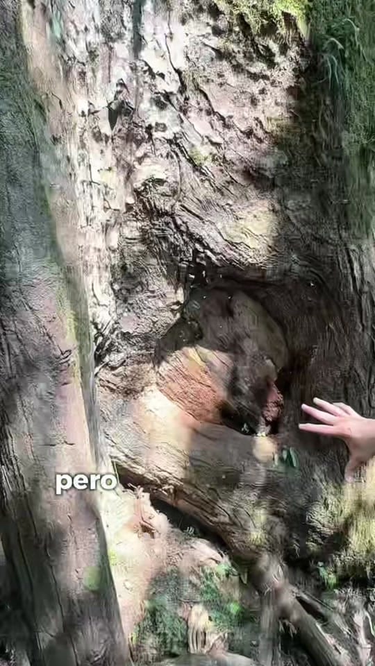 Post 6 by pilatesconjuanca on TikTok (video)