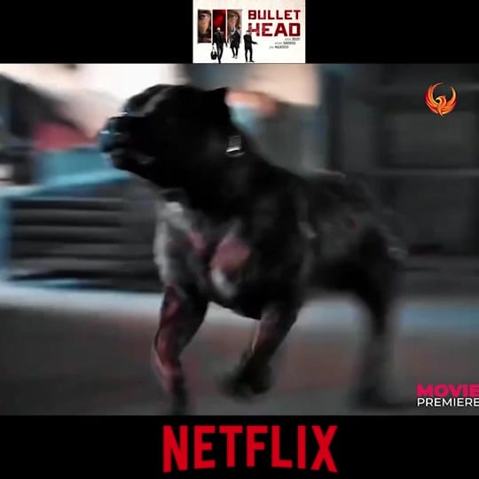 Post 4 by Dramas.mx99 on TikTok (video)