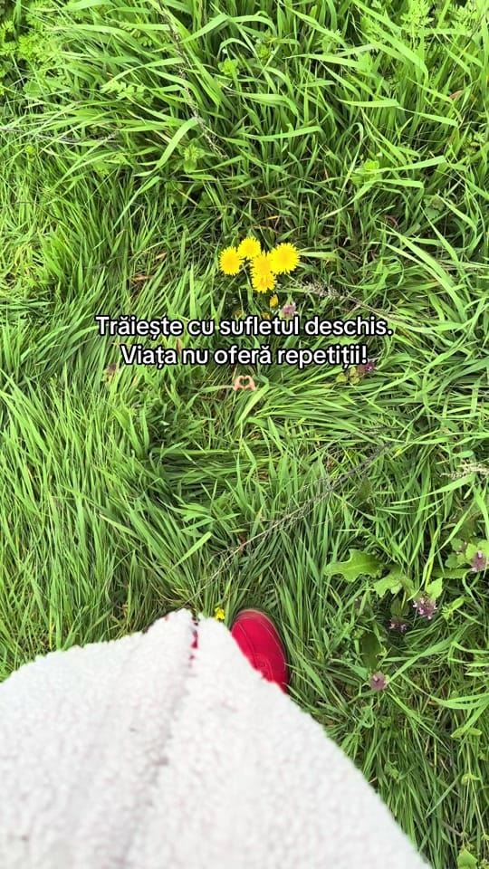 Post 1 by L A R R A on TikTok (video)
