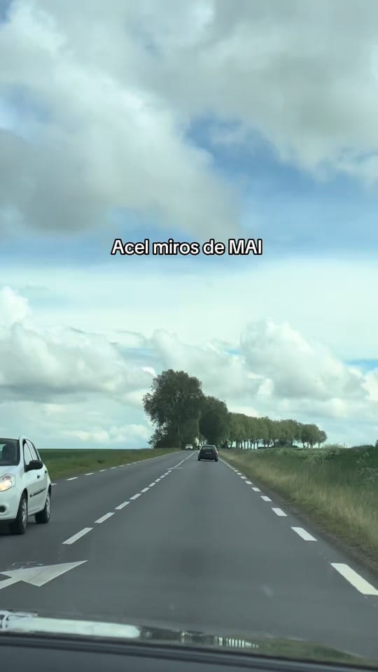 Post 4 by L A R R A on TikTok (video)