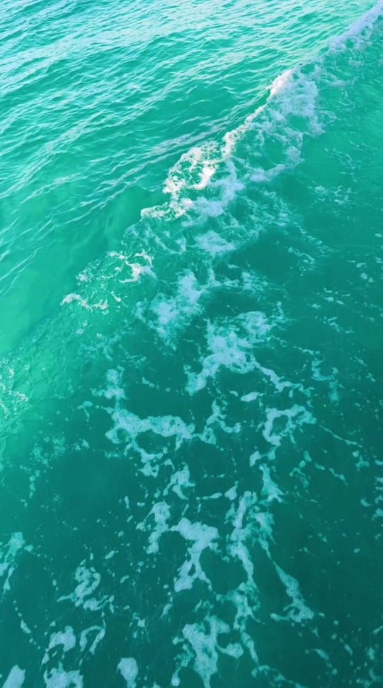 Post 1 by WORLDTOURSVIP CANCUN on TikTok (video)