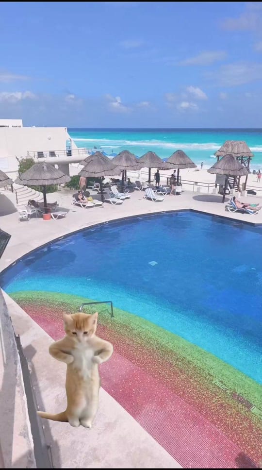 Post 7 by WORLDTOURSVIP CANCUN on TikTok (video)