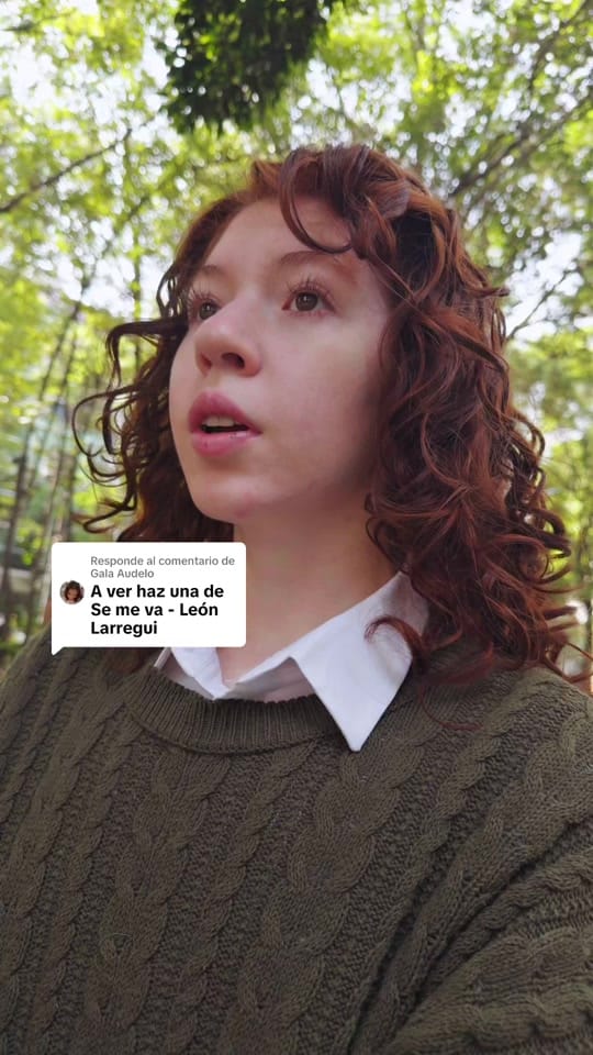 Post 6 by Erik Loaiza on TikTok (video)