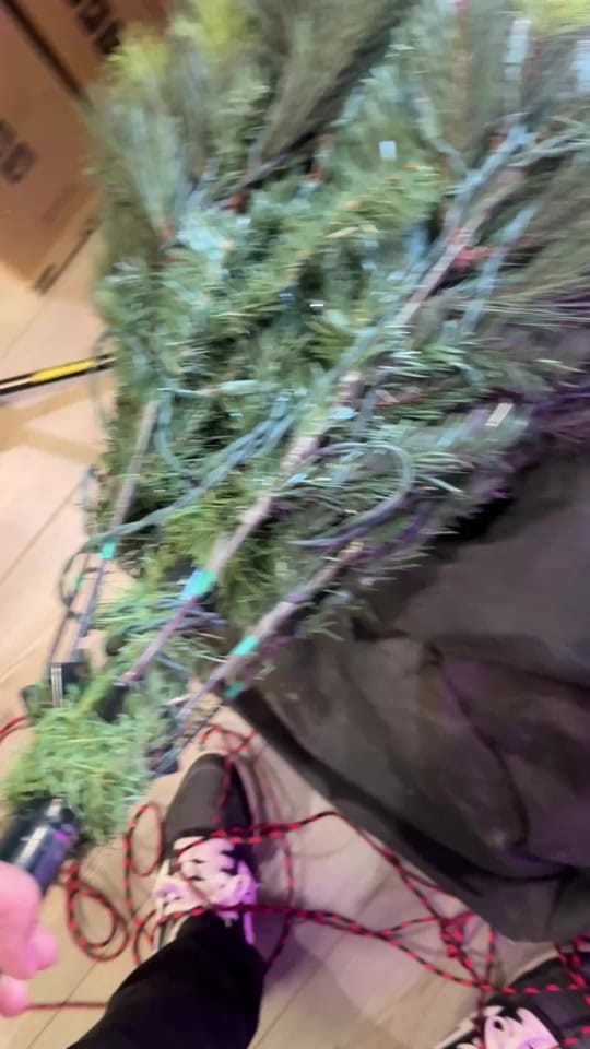 Post 1 by erisonaudio on TikTok (video)