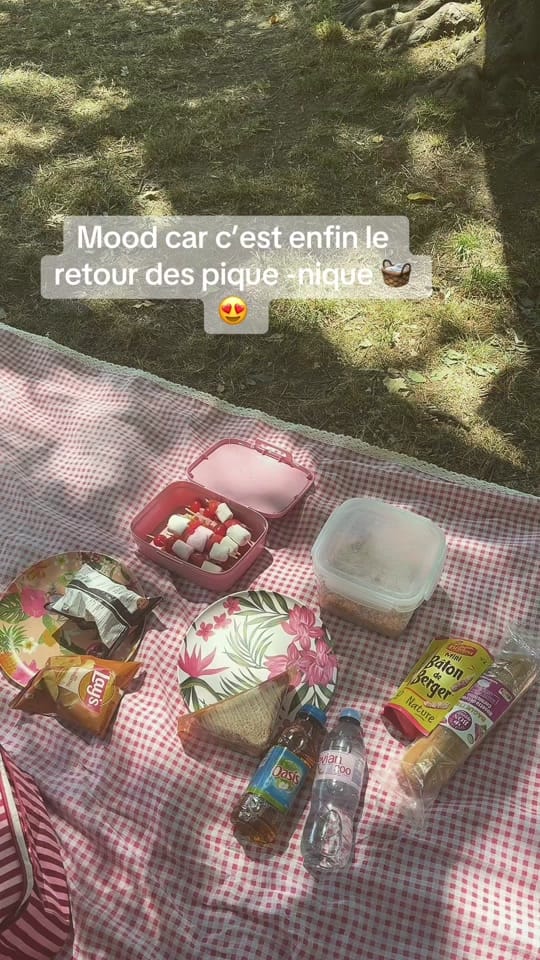Post 1 by Anais Lvr on TikTok (video)