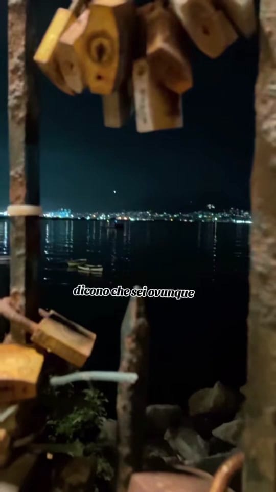 Post 4 by La riccia 🐉 on TikTok (video)