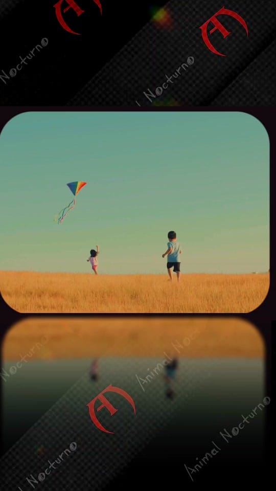 Post 5 by Animal Nocturno on TikTok (video)