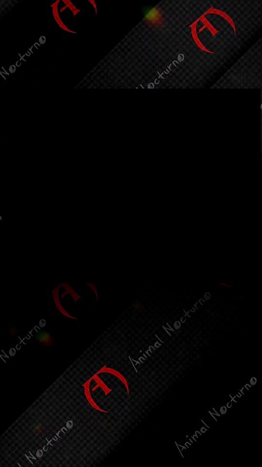 Post 8 by Animal Nocturno on TikTok (video)