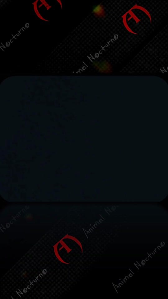 Post 2 by Animal Nocturno on TikTok (video)