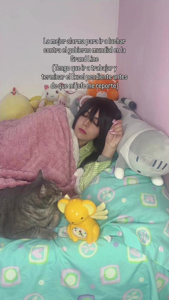 Post 10 by MECHii on TikTok (video)