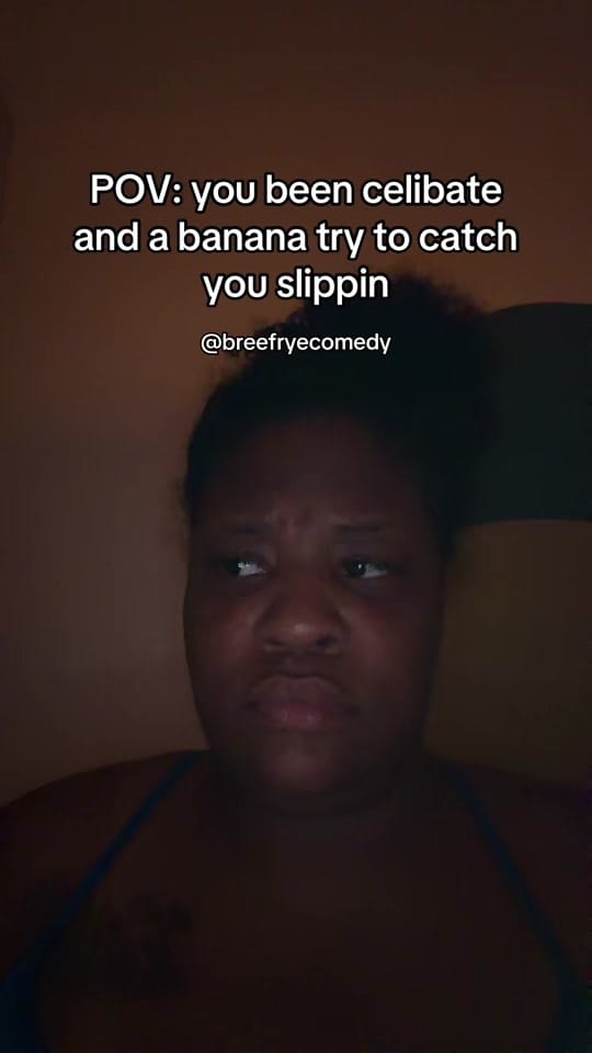 Post 4 by breefryecomedy on TikTok (video)