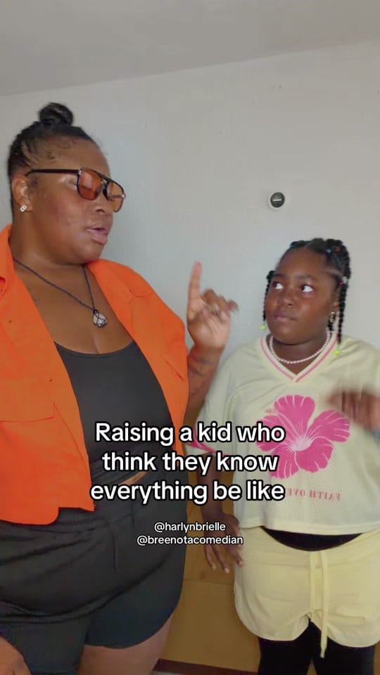 Post 6 by breefryecomedy on TikTok (video)