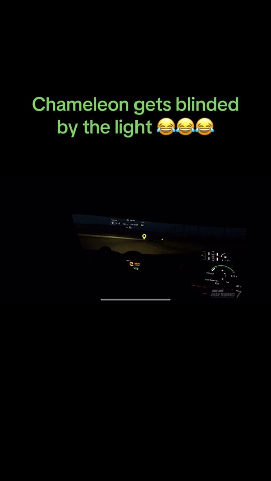 Post 2 by The Angry Chameleon on TikTok (video)